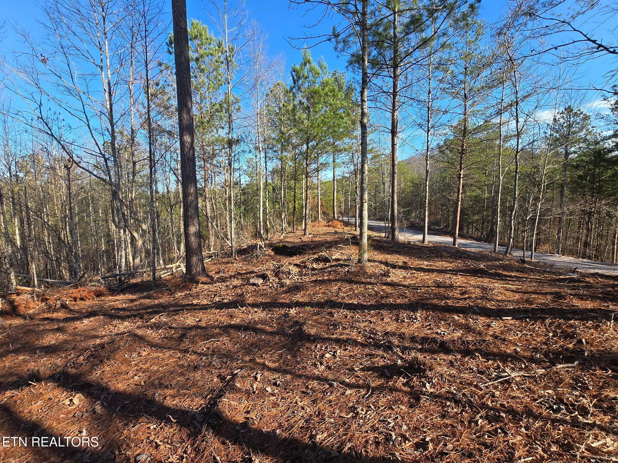 Lot 104 Pineview Lane, Vonore, TN - Fort Loudoun and Tellico Lake Real Estate - Image# 6