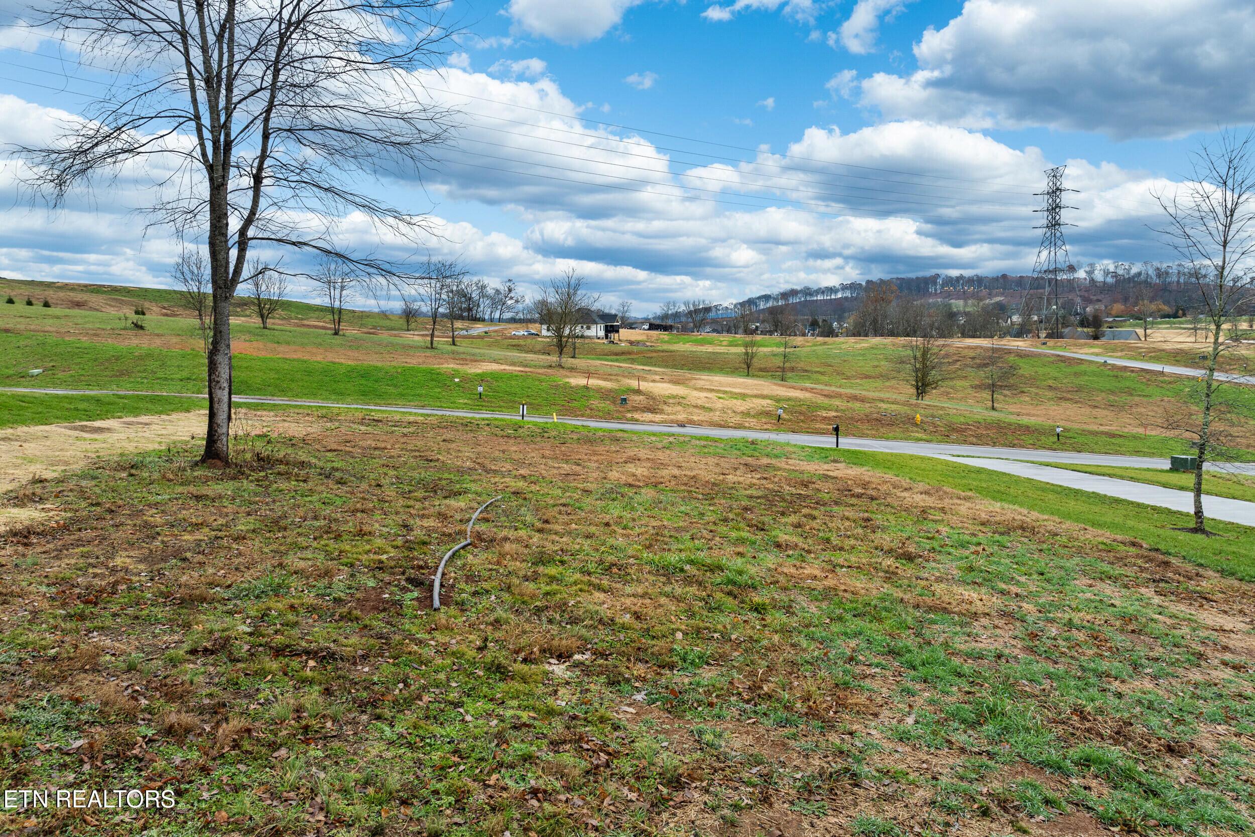 1923 Mockingbird Lane, Loudon, TN - Fort Loudoun and Tellico Lake Real Estate - Image# 4