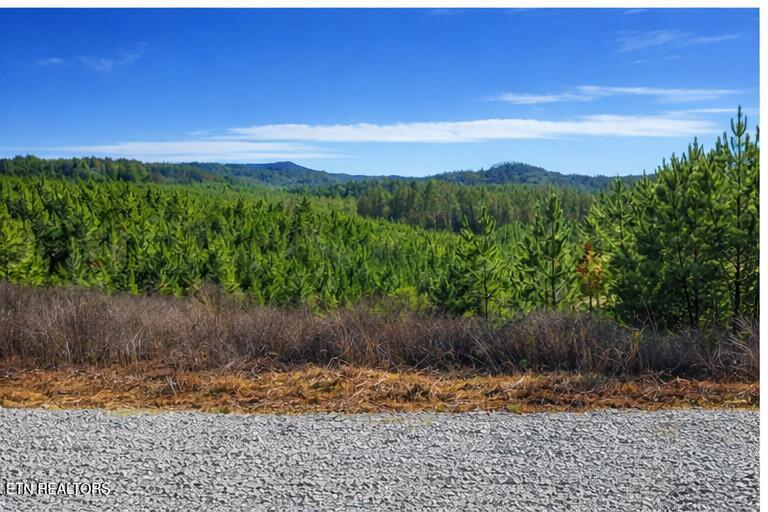 Ridgeline Dr, Vonore, TN - Fort Loudoun and Tellico Lake Real Estate - Image# 4