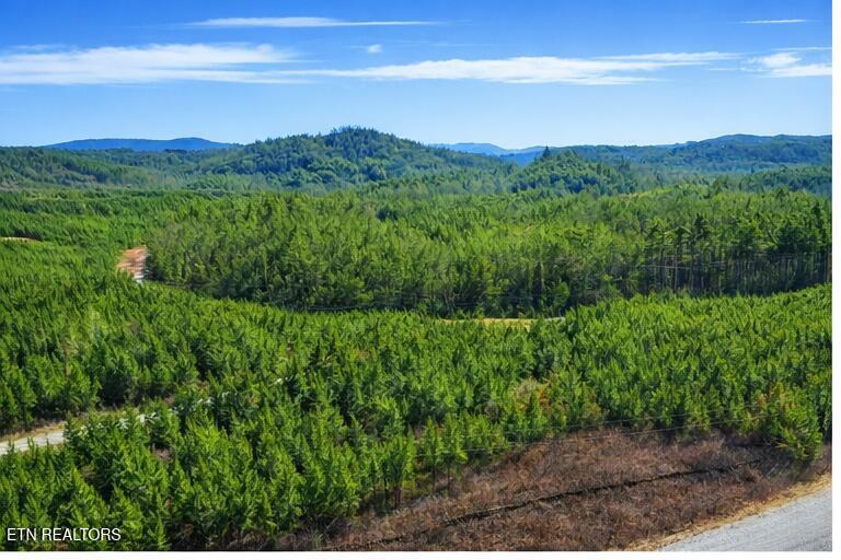 Ridgeline Dr, Vonore, TN