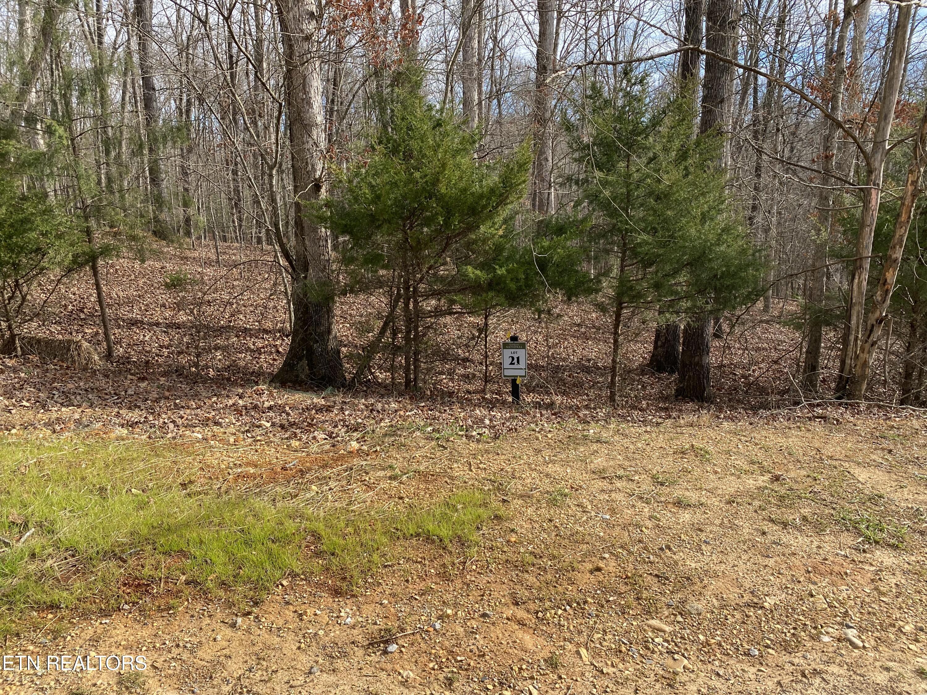 1566 Old Dogwood Tr, Loudon, TN - Fort Loudoun and Tellico Lake Real Estate - Image# 1