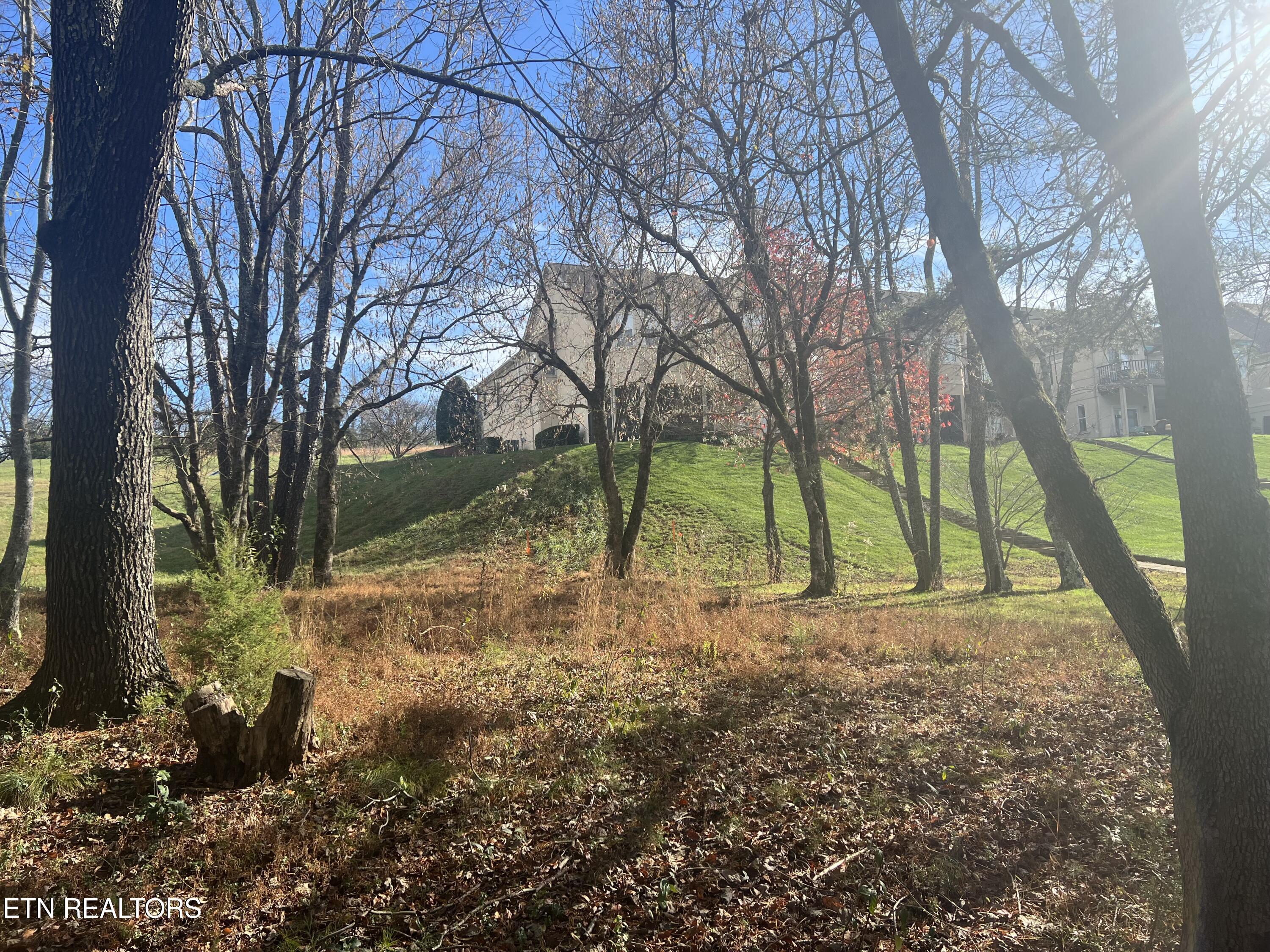 230 Morning Dove Drive, Vonore, TN - Fort Loudoun and Tellico Lake Real Estate - Image# 4