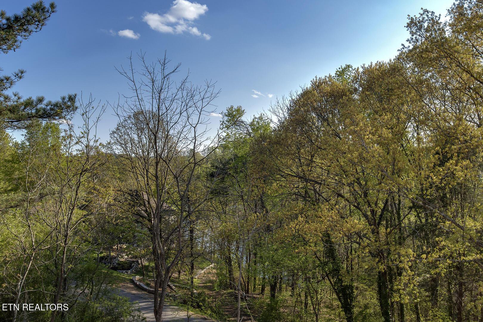168 Amohi Way, Loudon, TN - Fort Loudoun and Tellico Lake Real Estate - Image# 11