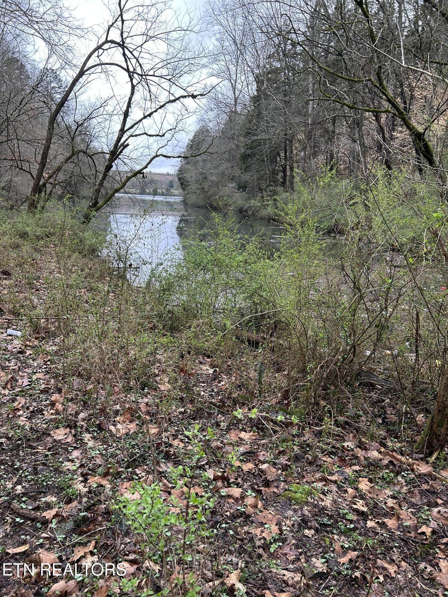 9 + 64 ac Saga Lane, Knoxville, TN - Fort Loudoun and Tellico Lake Real Estate - Image# 4