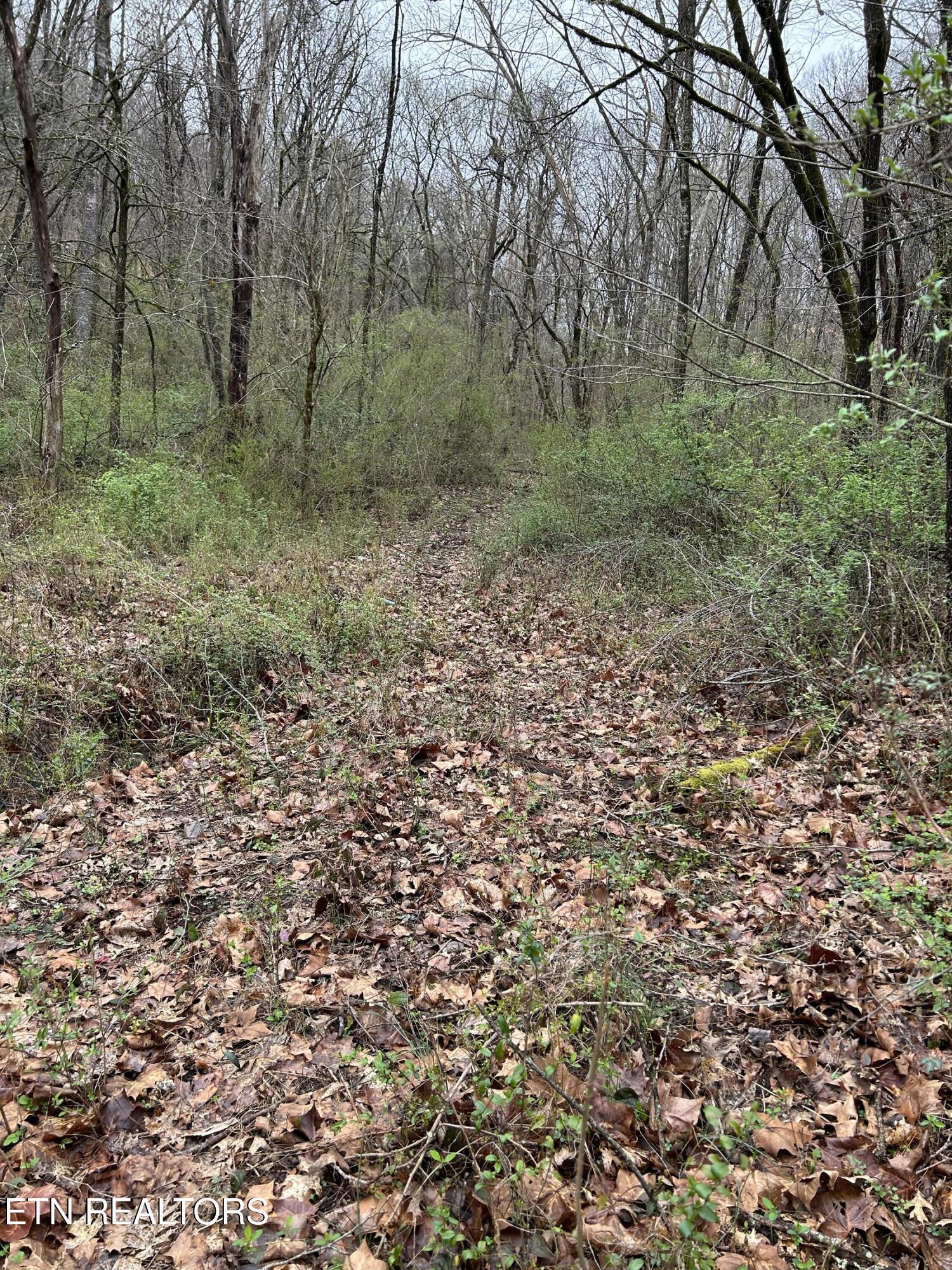 9 + 64 ac Saga Lane, Knoxville, TN - Fort Loudoun and Tellico Lake Real Estate - Image# 7