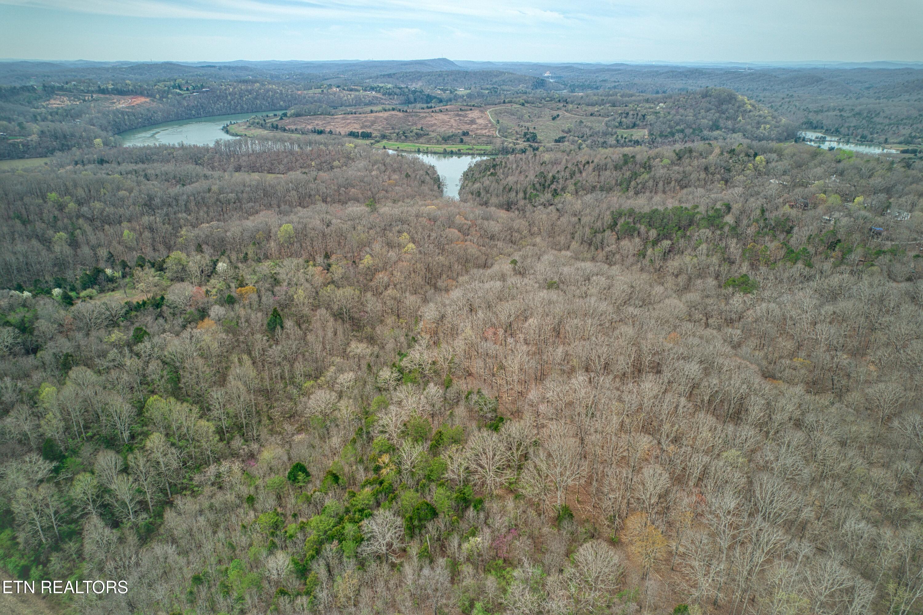 9 + 64 ac Saga Lane, Knoxville, TN - Fort Loudoun and Tellico Lake Real Estate - Image# 23