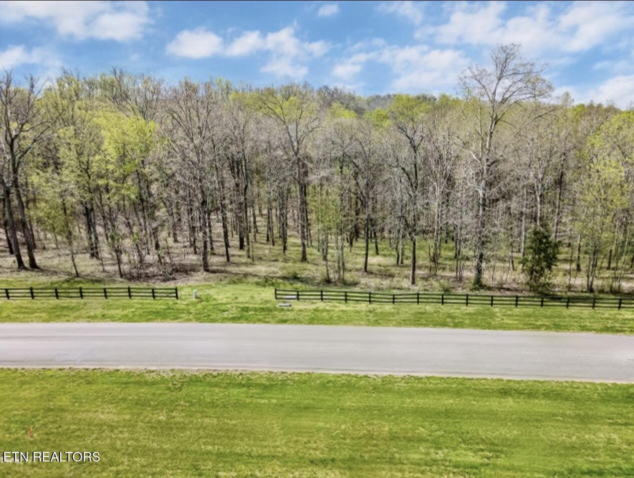 Rankin Ferry Loop  Lot 8 Loop, Louisville, TN - Fort Loudoun and Tellico Lake Real Estate - Image# 4