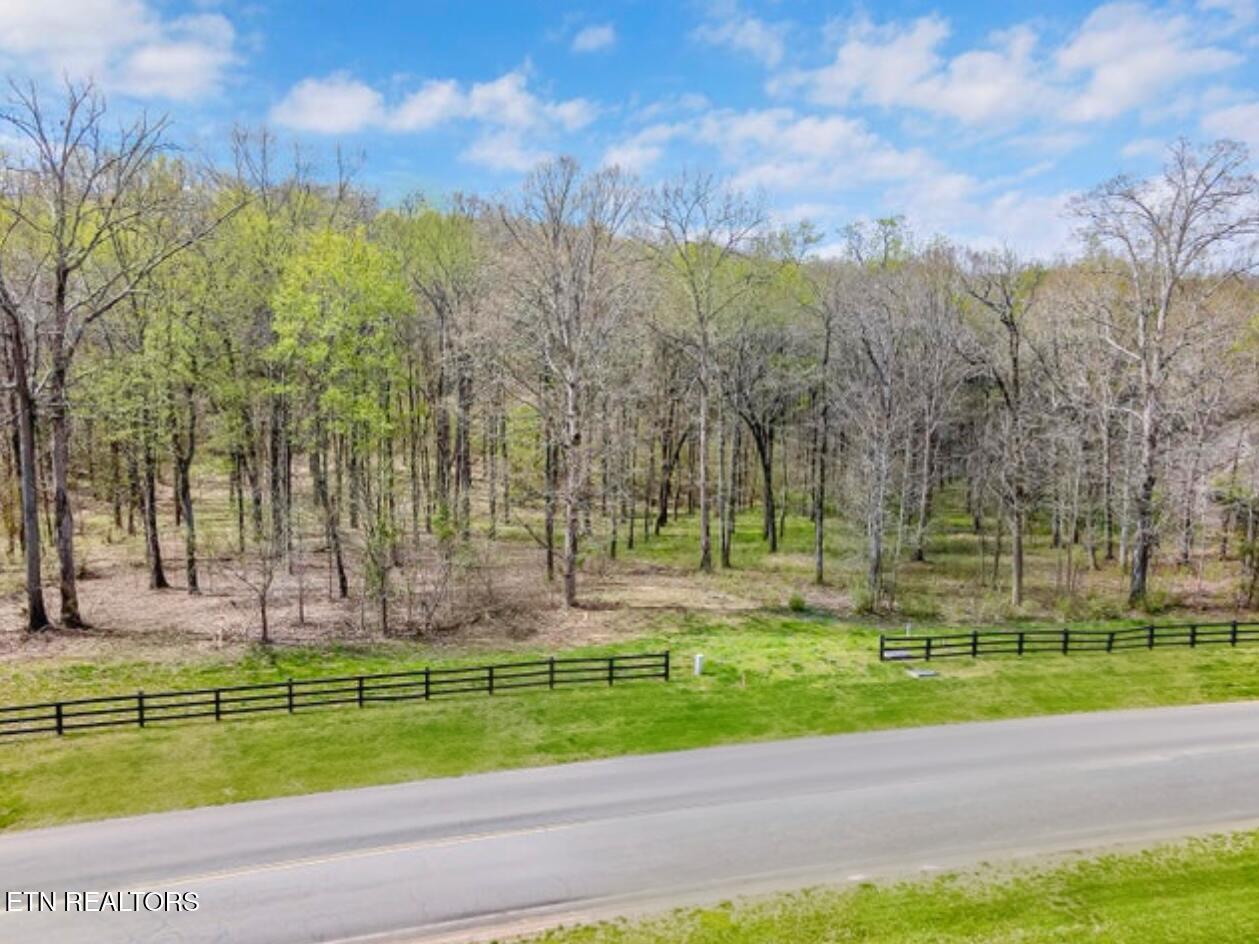 Rankin Ferry Loop  Lot 8 Loop, Louisville, TN - Fort Loudoun and Tellico Lake Real Estate - Image# 12