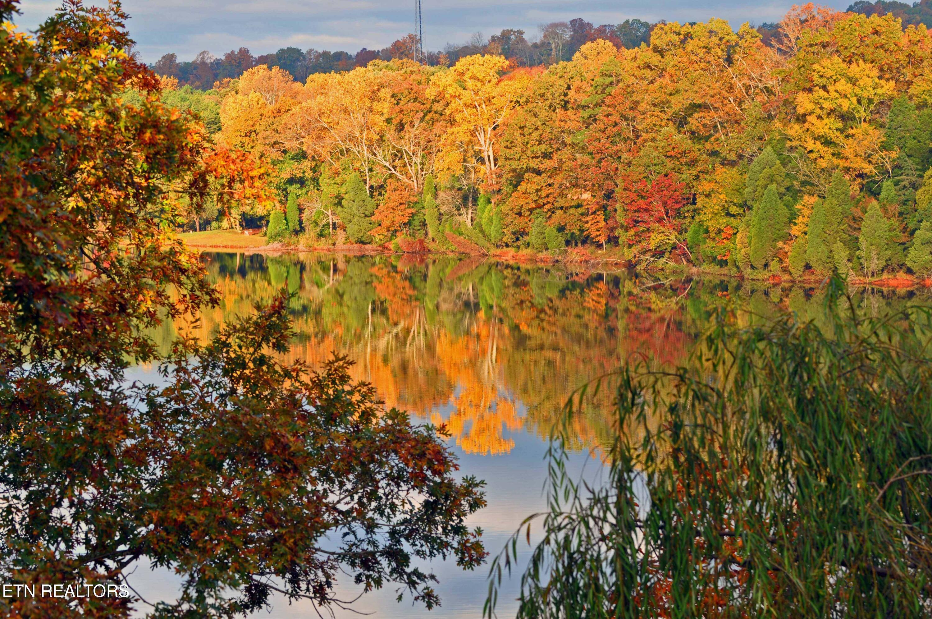608 Wood Duck Drive, Vonore, TN - Fort Loudoun and Tellico Lake Real Estate - Image# 22