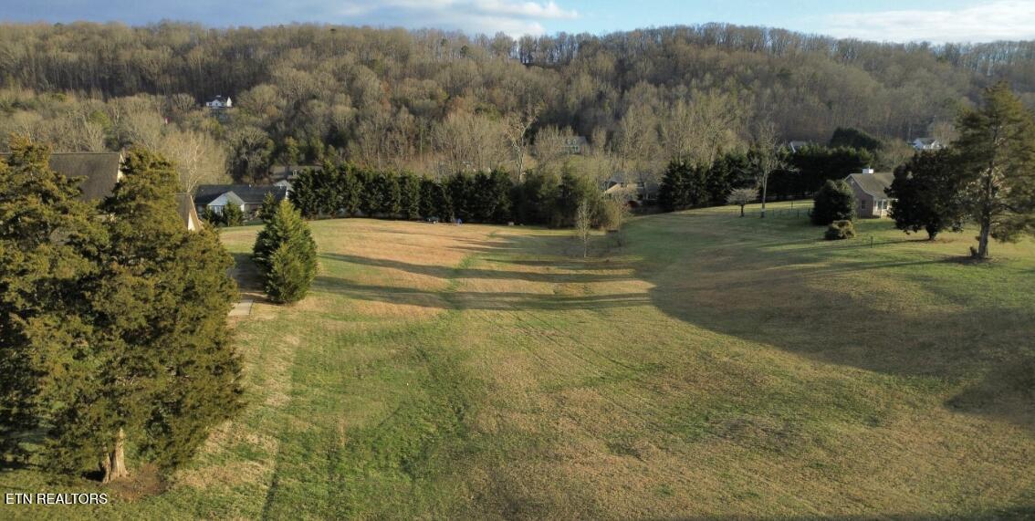Fort Loudoun and Tellico Lake Real Estate - Image# 1