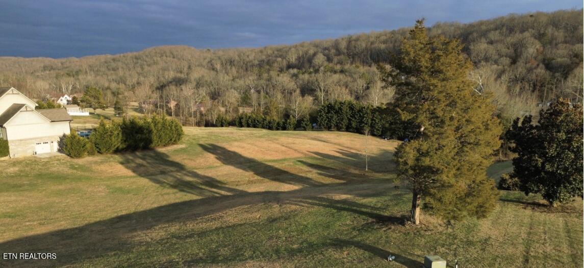 Fort Loudoun and Tellico Lake Real Estate - Image# 3