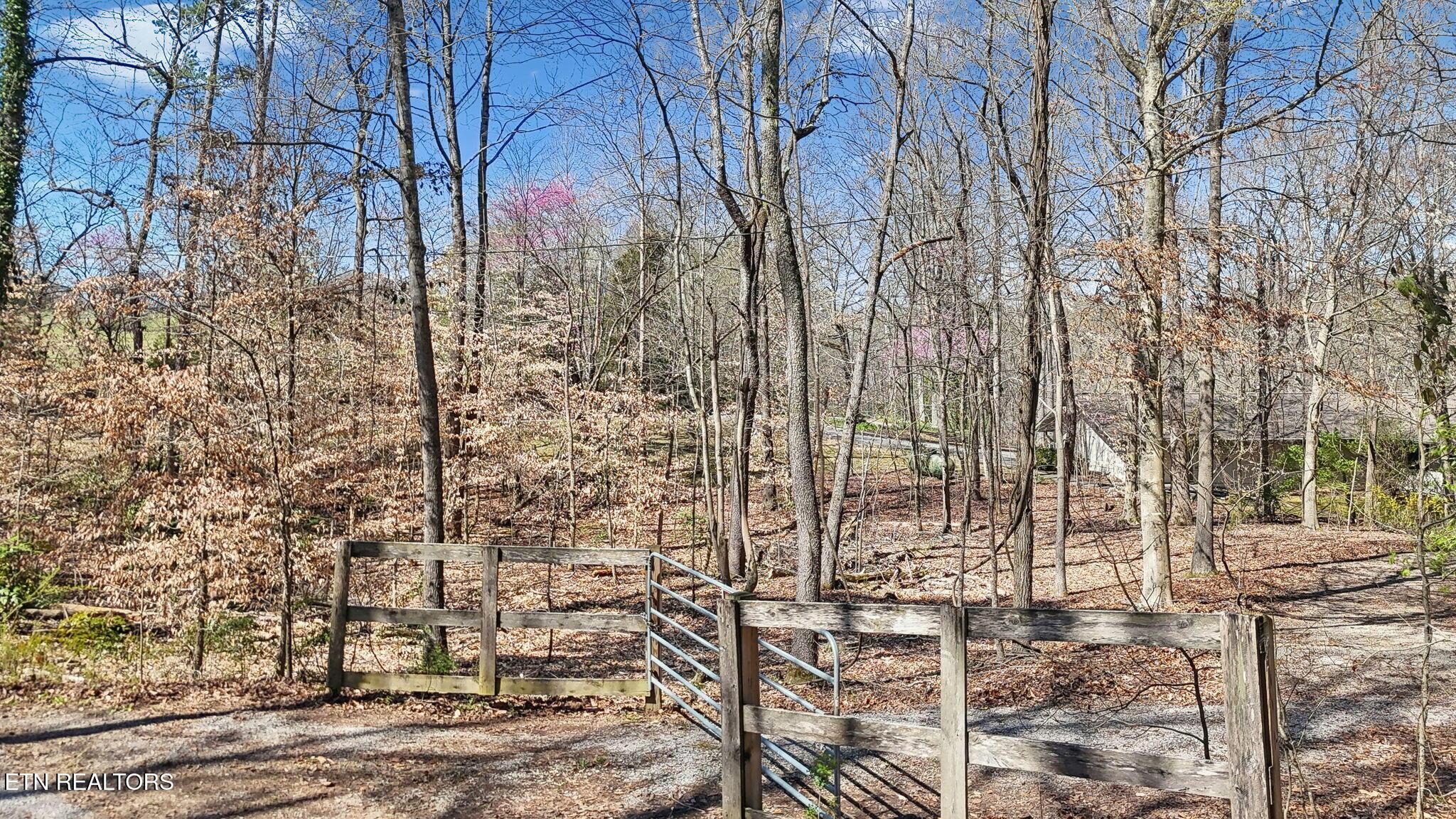 3798 Lakeland Drive, Lenoir City, TN - Fort Loudoun and Tellico Lake Real Estate - Image# 10