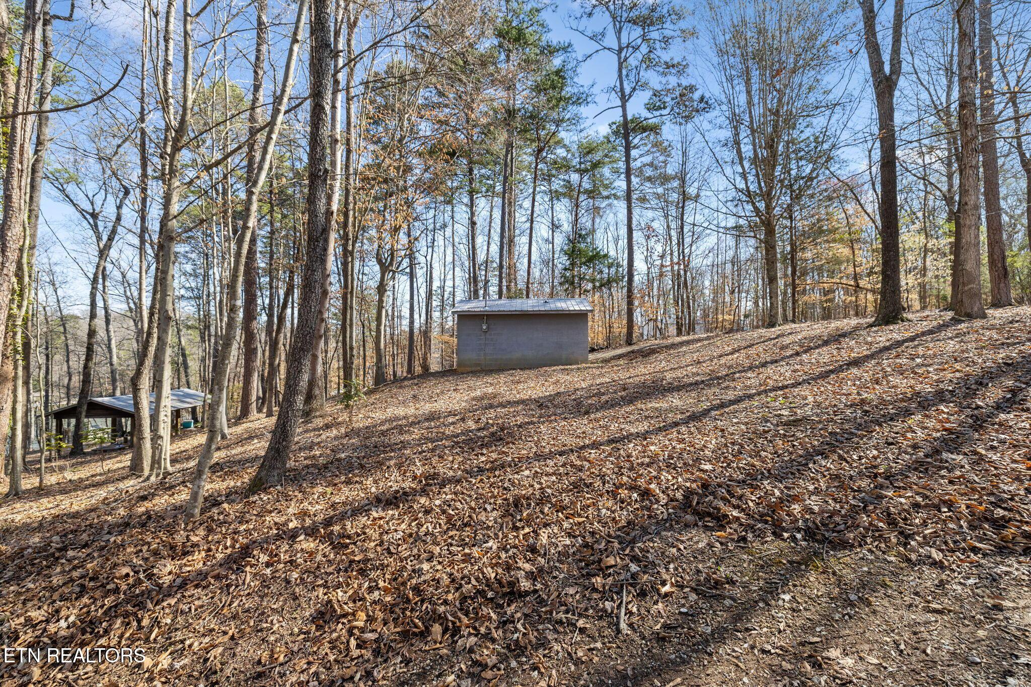 3798 Lakeland Drive, Lenoir City, TN - Fort Loudoun and Tellico Lake Real Estate - Image# 15