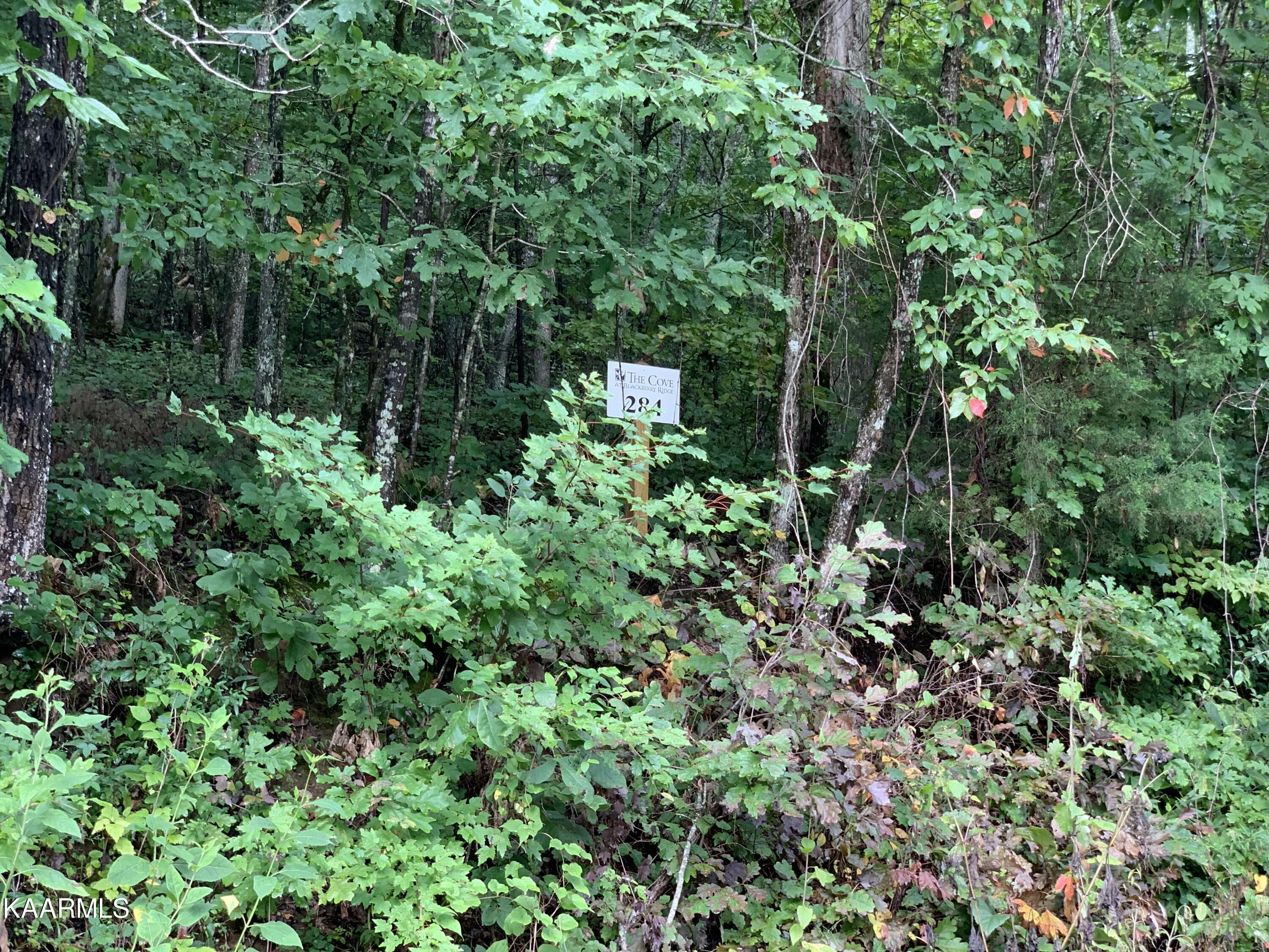 4507 Huffine Rd, Loudon, TN
