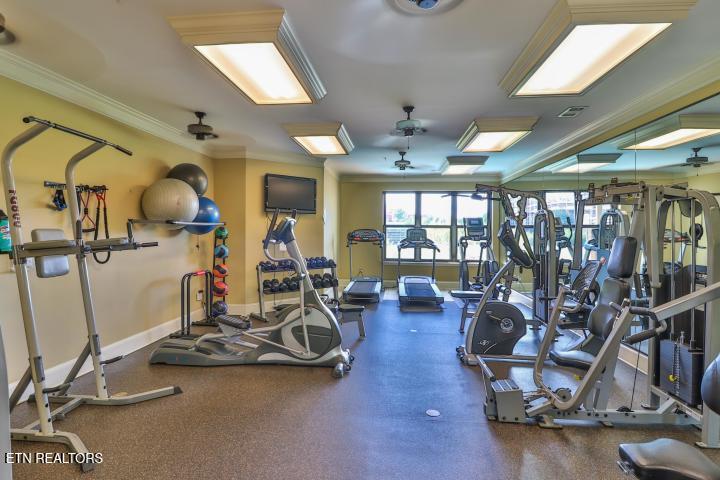 445 W Blount Ave, Knoxville, TN - Fort Loudoun and Tellico Lake Real Estate - Image# 51