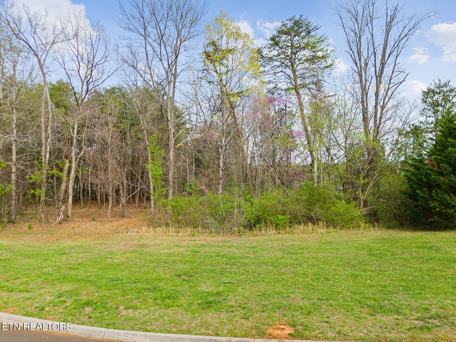 Fort Loudoun and Tellico Lake Real Estate - Image# 12