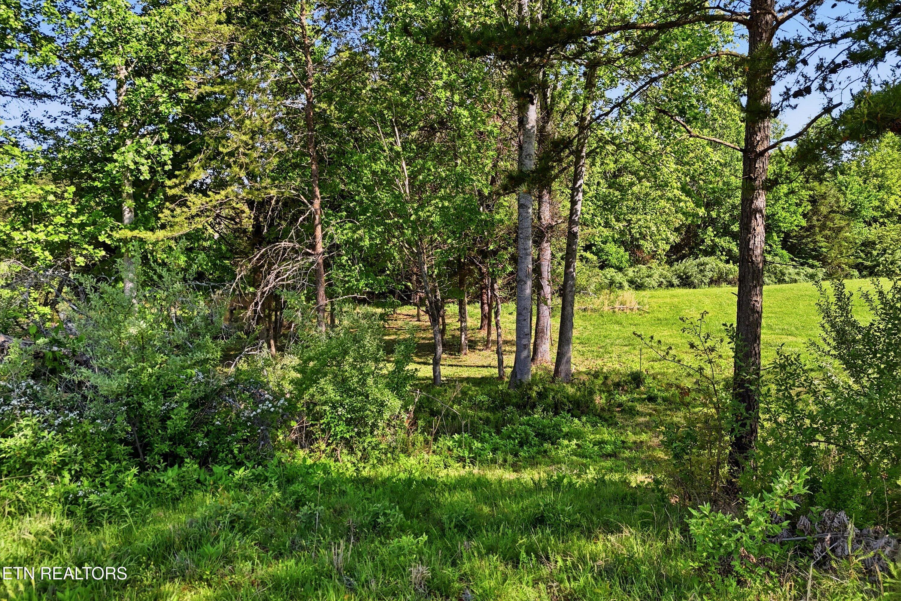 Fort Loudoun and Tellico Lake Real Estate - Image# 28