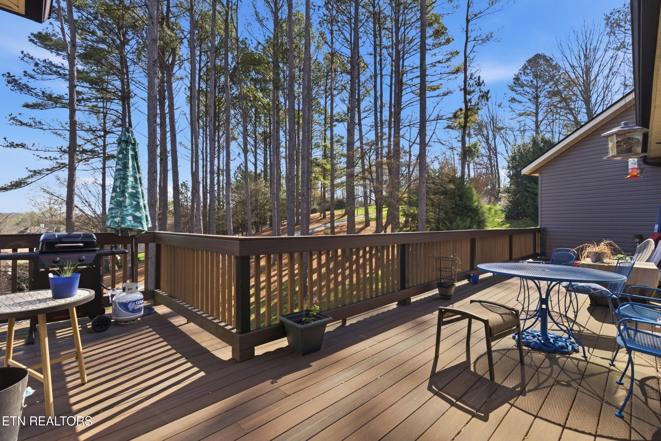 301 Inagehi Lane, Loudon, TN - Fort Loudoun and Tellico Lake Real Estate - Image# 35