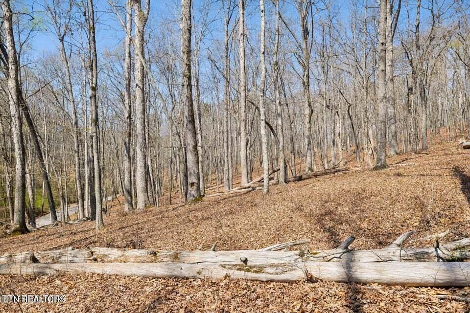 1300 Old Sugar Limb Rd, Loudon, TN - Fort Loudoun and Tellico Lake Real Estate - Image# 8