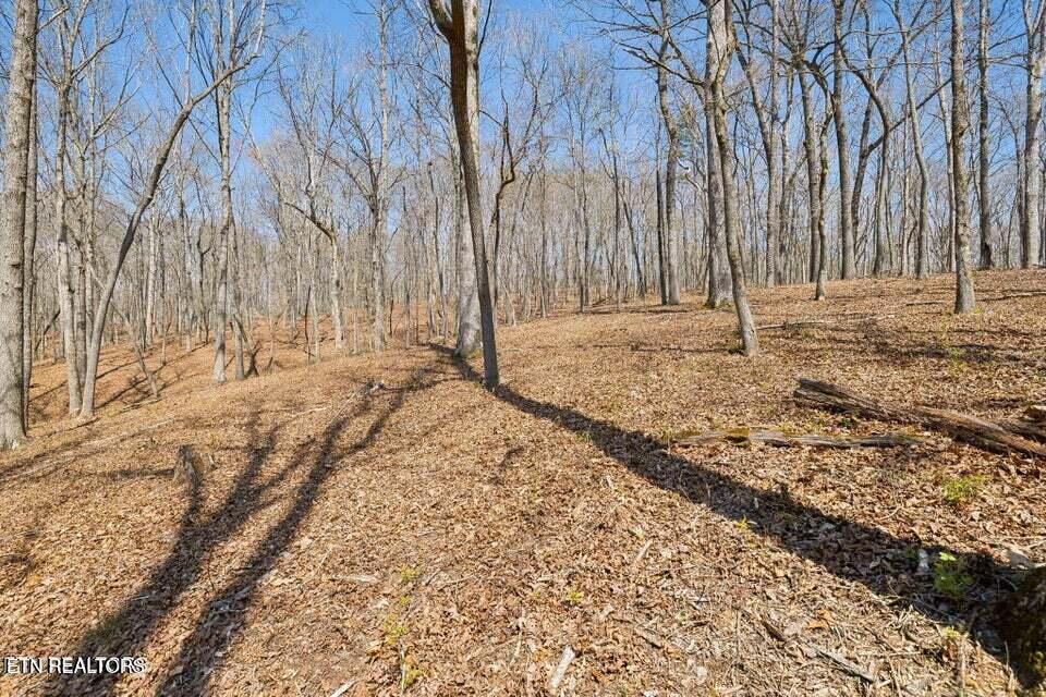 1300 Old Sugar Limb Rd, Loudon, TN - Fort Loudoun and Tellico Lake Real Estate - Image# 9