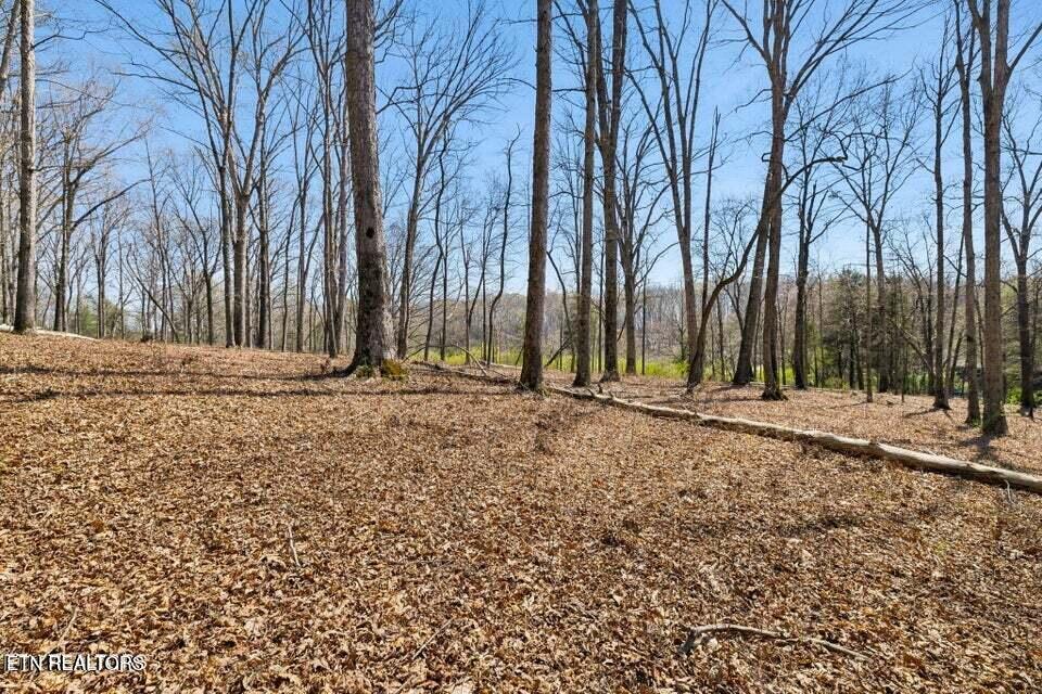 1300 Old Sugar Limb Rd, Loudon, TN - Fort Loudoun and Tellico Lake Real Estate - Image# 10
