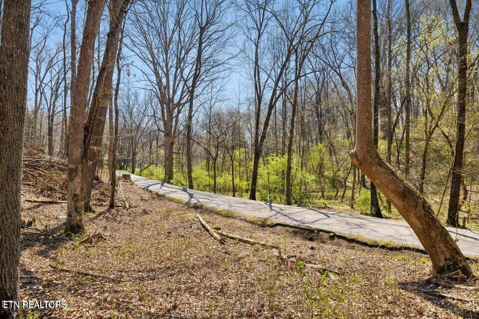 1300 Old Sugar Limb Rd, Loudon, TN - Fort Loudoun and Tellico Lake Real Estate - Image# 14