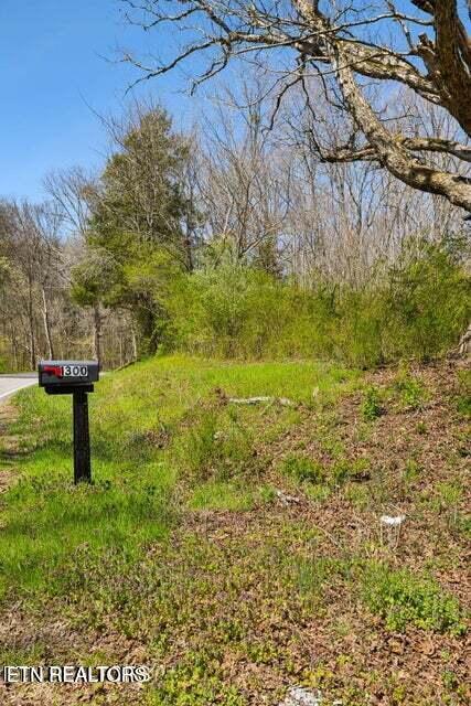 1300 Old Sugar Limb Rd, Loudon, TN - Fort Loudoun and Tellico Lake Real Estate - Image# 22
