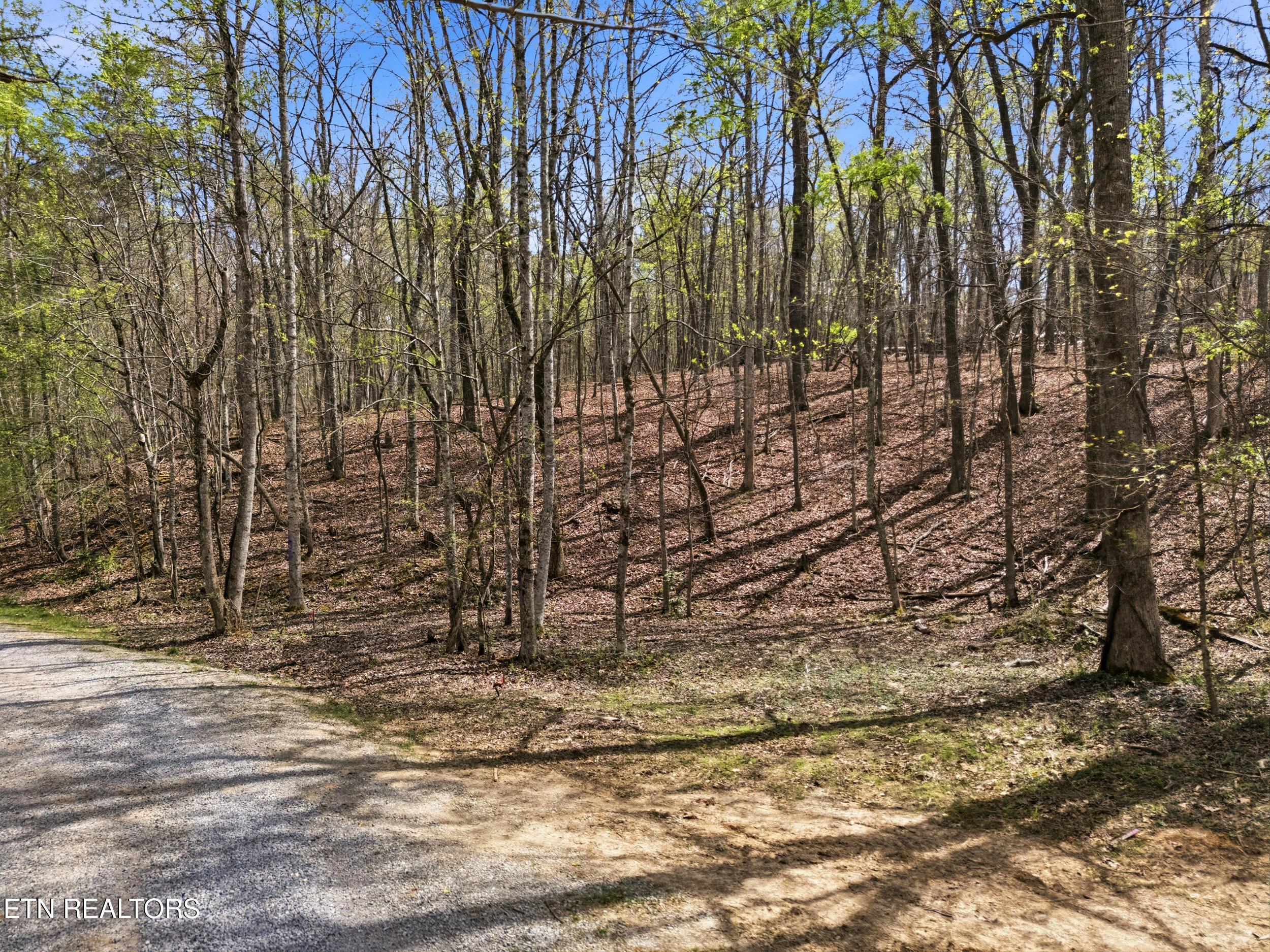 1750 Lakeland Dr aka 1 Headricks Cove, Lenoir City, TN - Fort Loudoun and Tellico Lake Real Estate - Image# 24