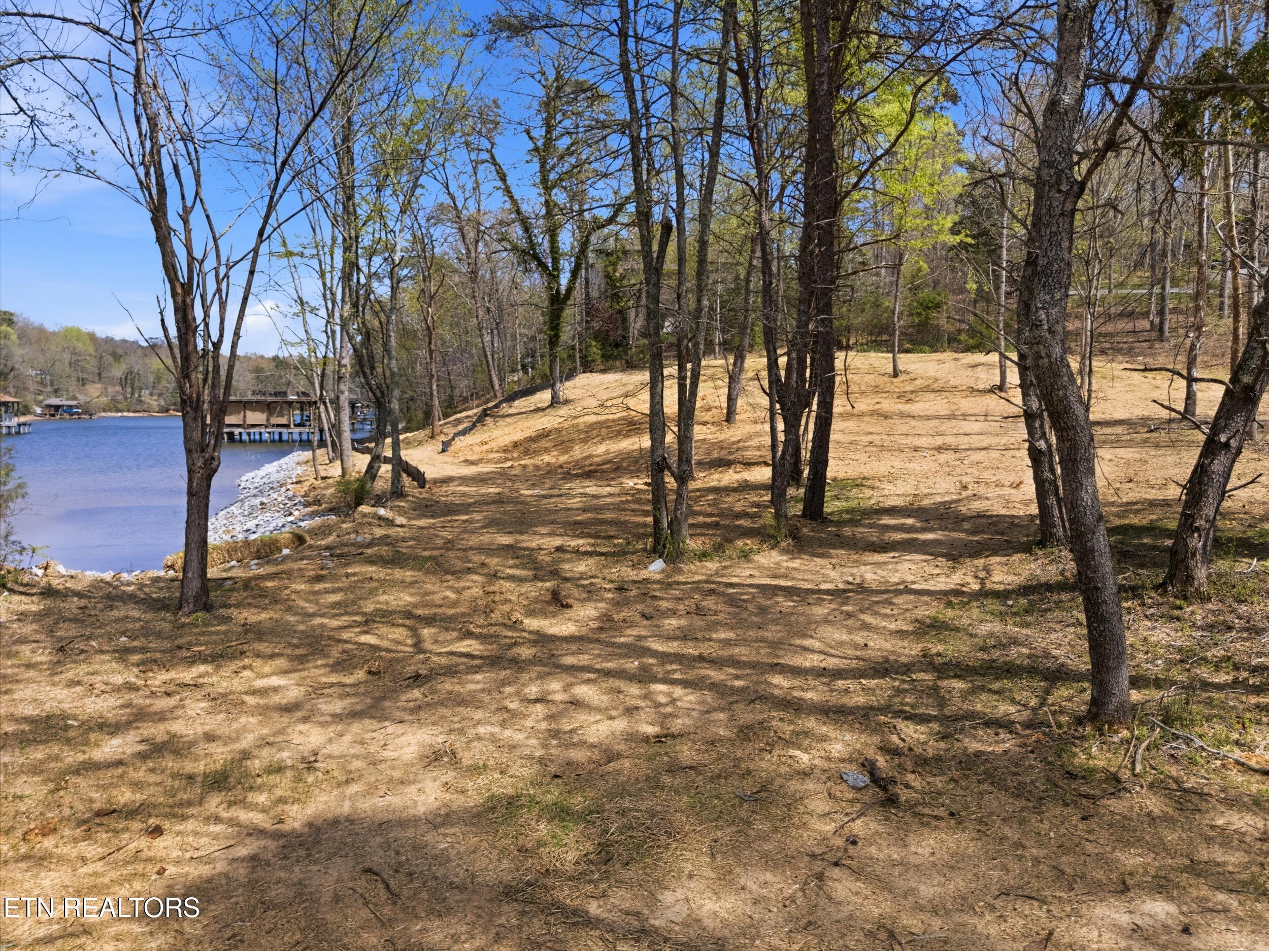 1750 Lakeland Dr aka 1 Headricks Cove, Lenoir City, TN - Fort Loudoun and Tellico Lake Real Estate - Image# 13