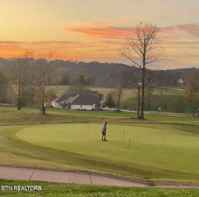 222 Hammock Court, Loudon, TN - Fort Loudoun and Tellico Lake Real Estate - Image# 6