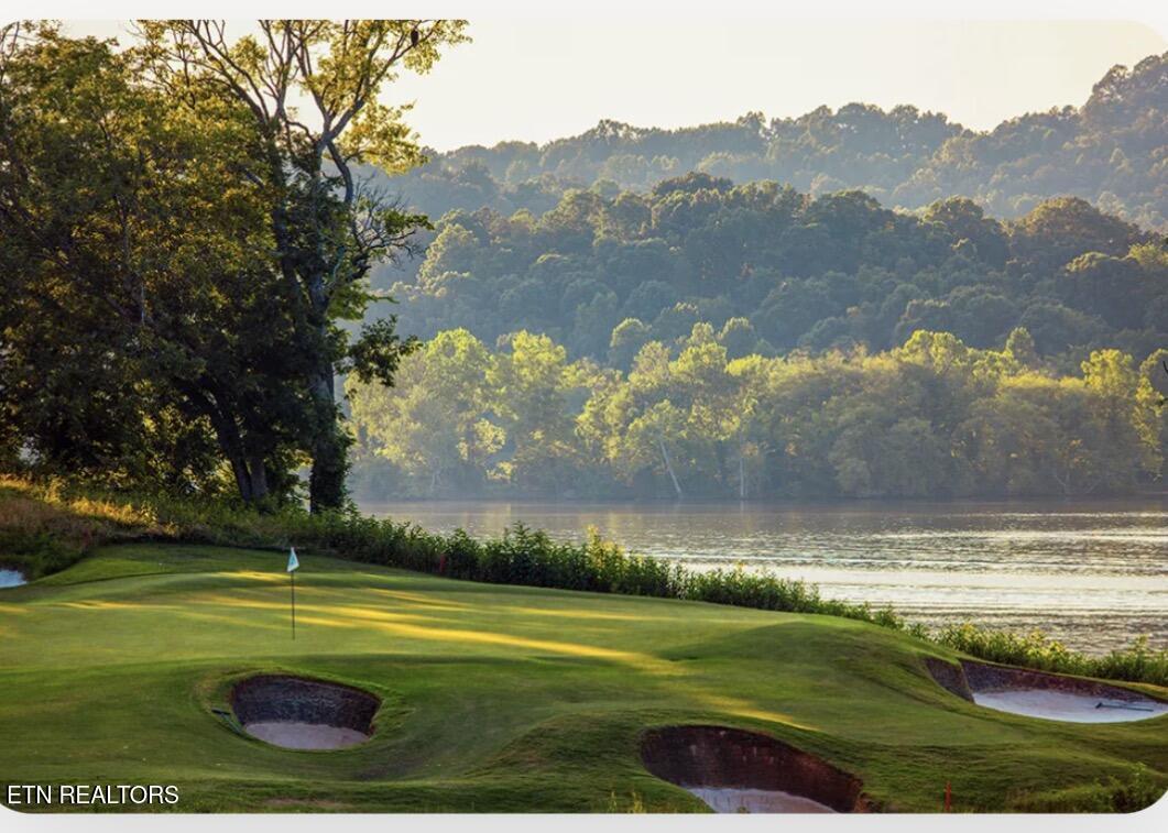 Fort Loudoun and Tellico Lake Real Estate - Image# 61