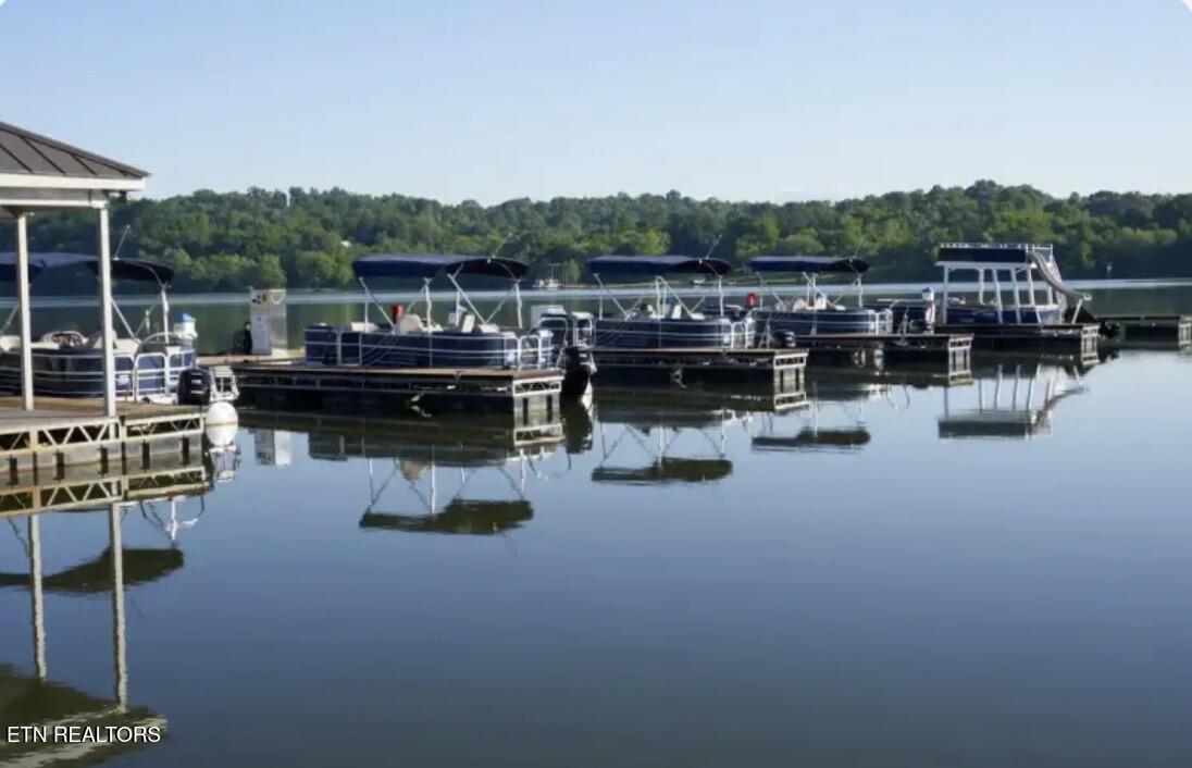 Fort Loudoun and Tellico Lake Real Estate - Image# 65
