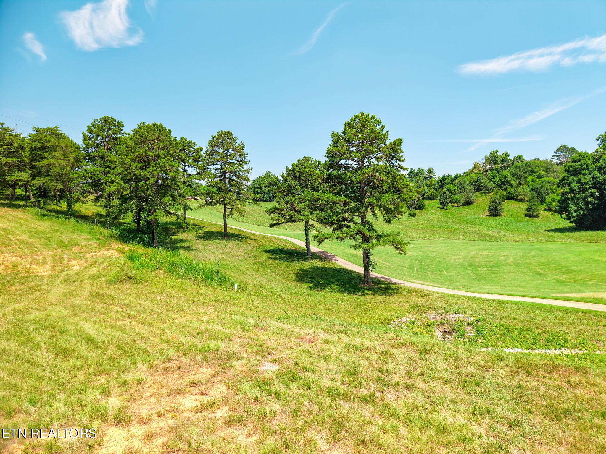 Fort Loudoun and Tellico Lake Real Estate - Image# 8