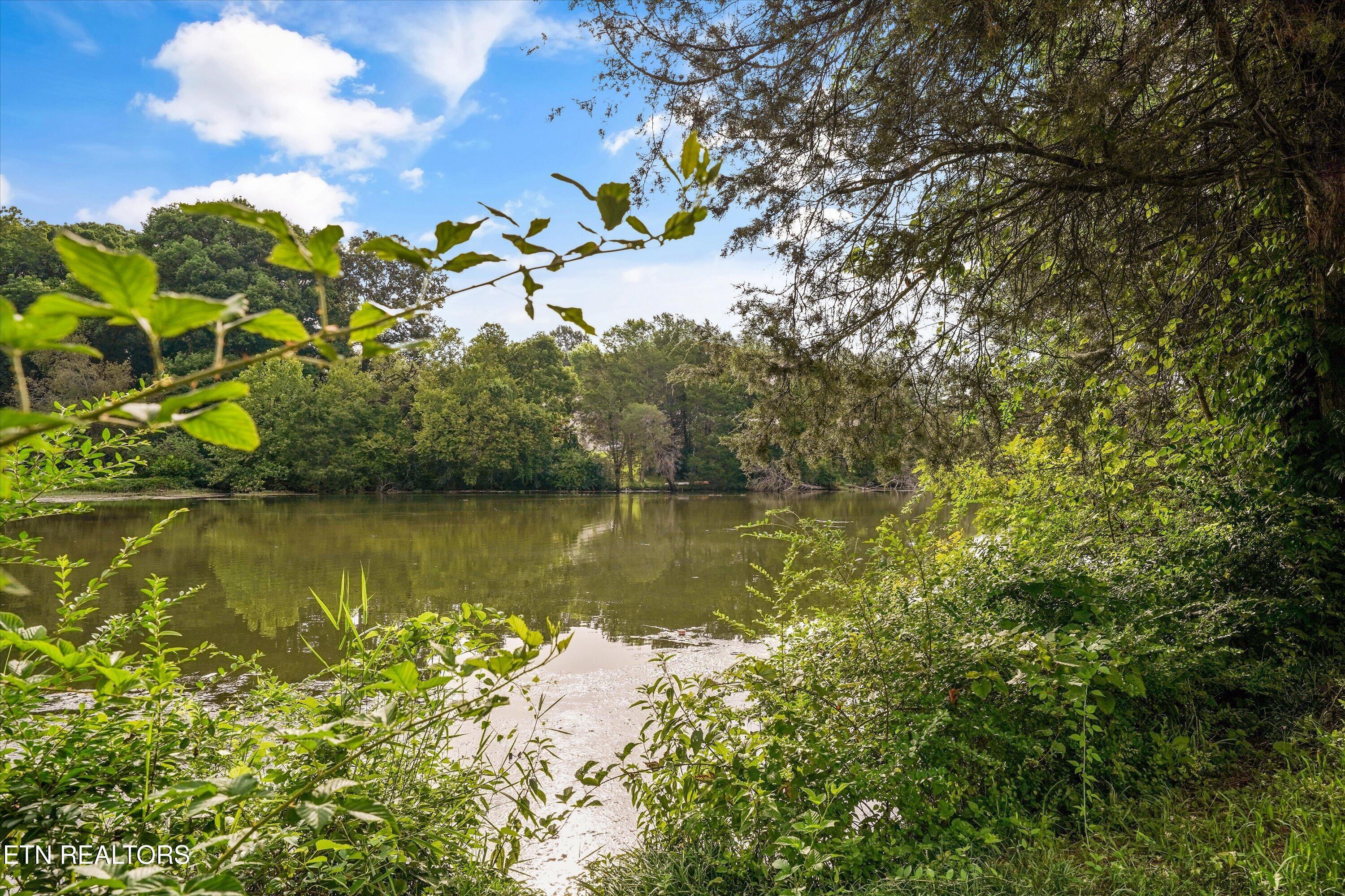 901 Harbour Shore Drive, Knoxville, TN - Fort Loudoun and Tellico Lake Real Estate - Image# 78