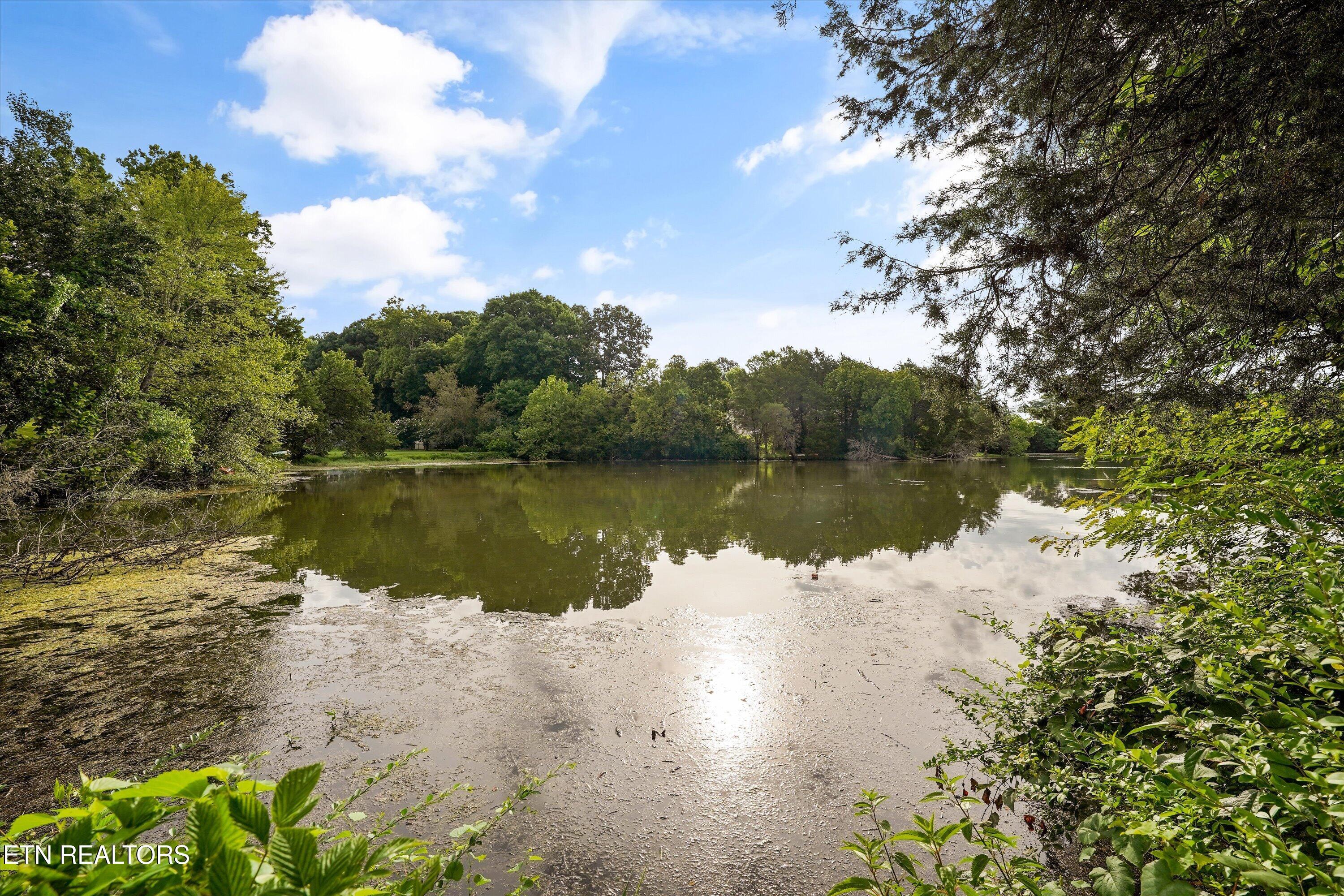 901 Harbour Shore Drive, Knoxville, TN - Fort Loudoun and Tellico Lake Real Estate - Image# 6