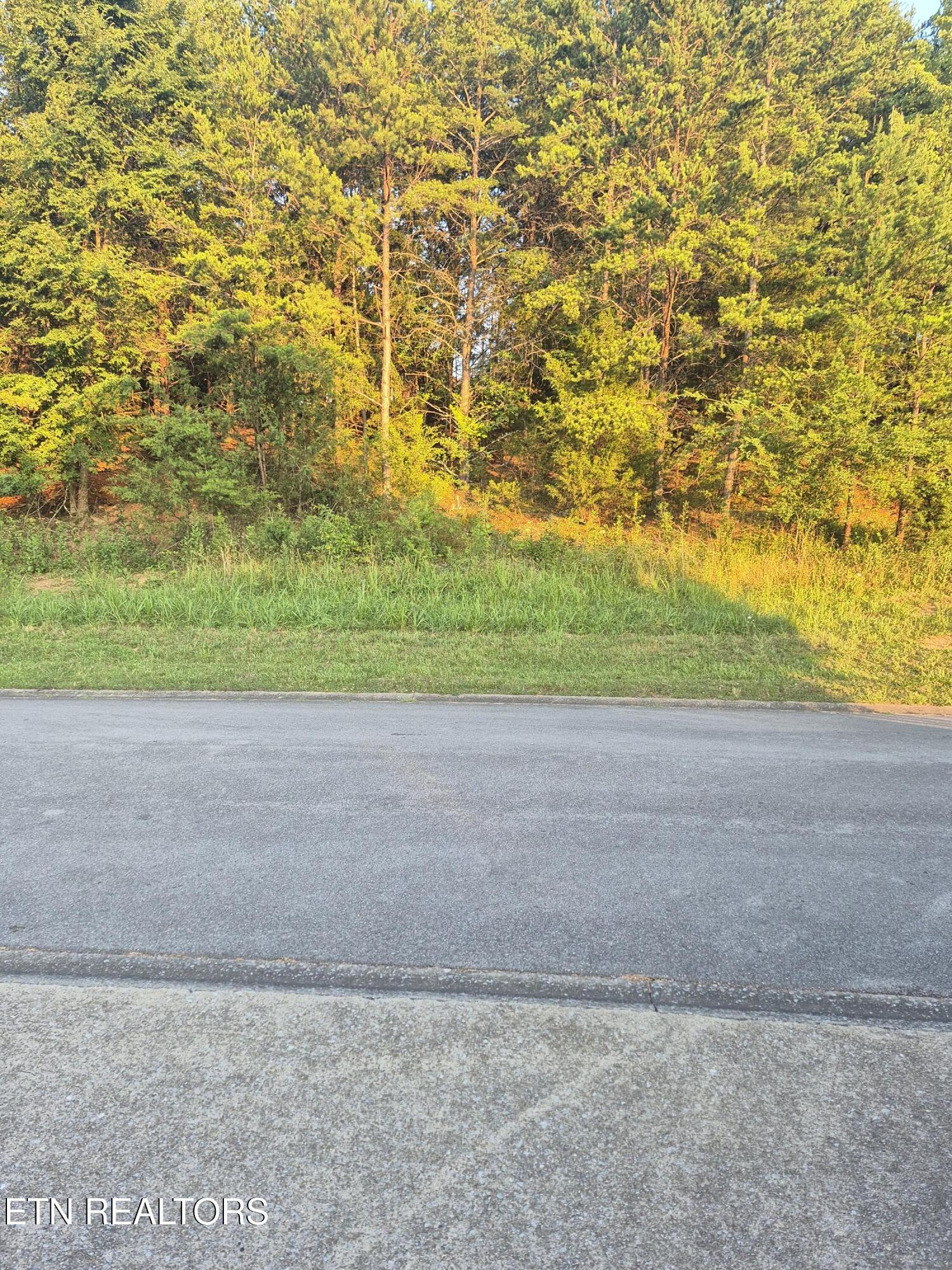165 Glen Mar Drive, Lenoir City, TN - Fort Loudoun and Tellico Lake Real Estate - Image# 3