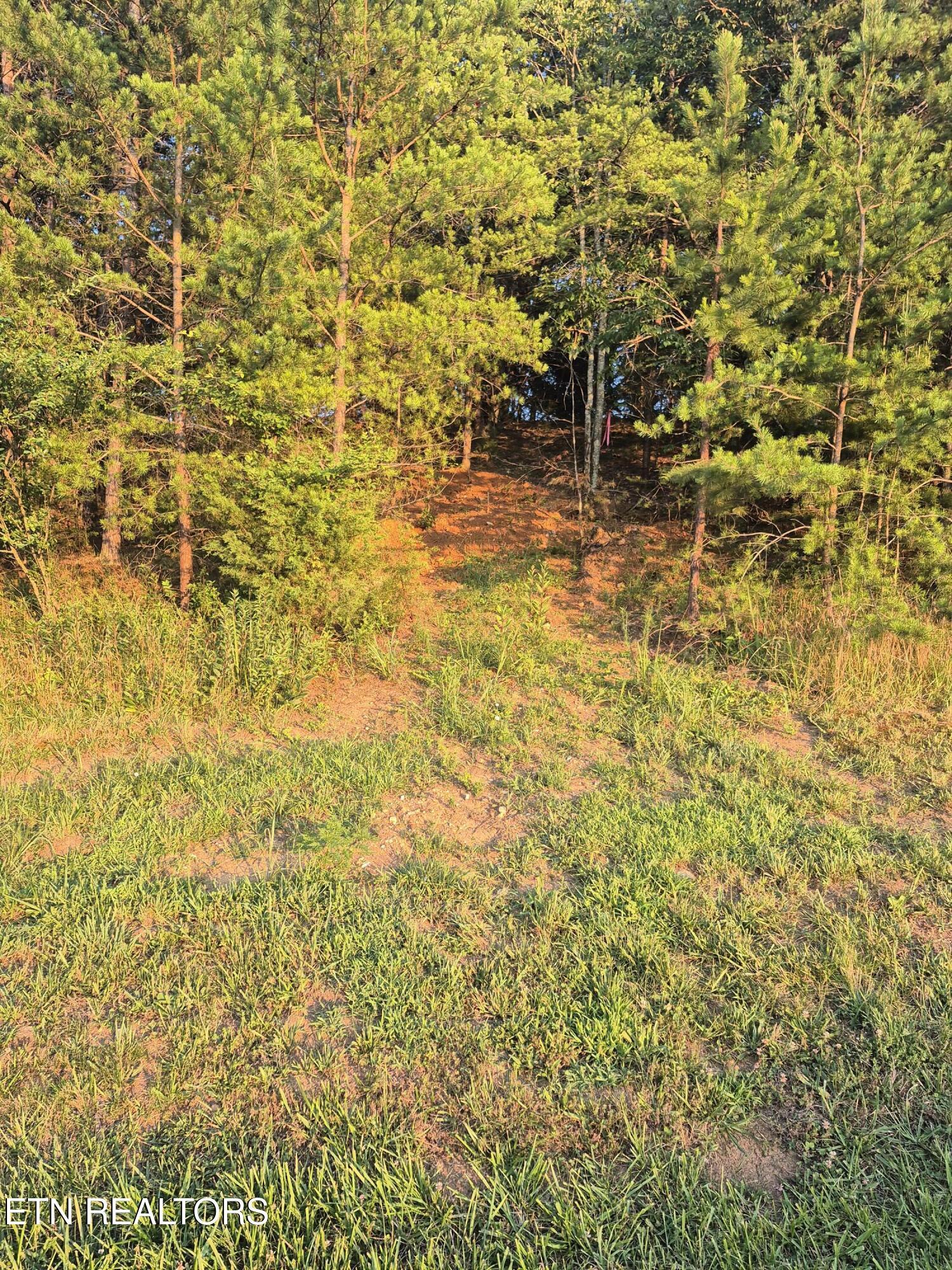 165 Glen Mar Drive, Lenoir City, TN - Fort Loudoun and Tellico Lake Real Estate - Image# 2