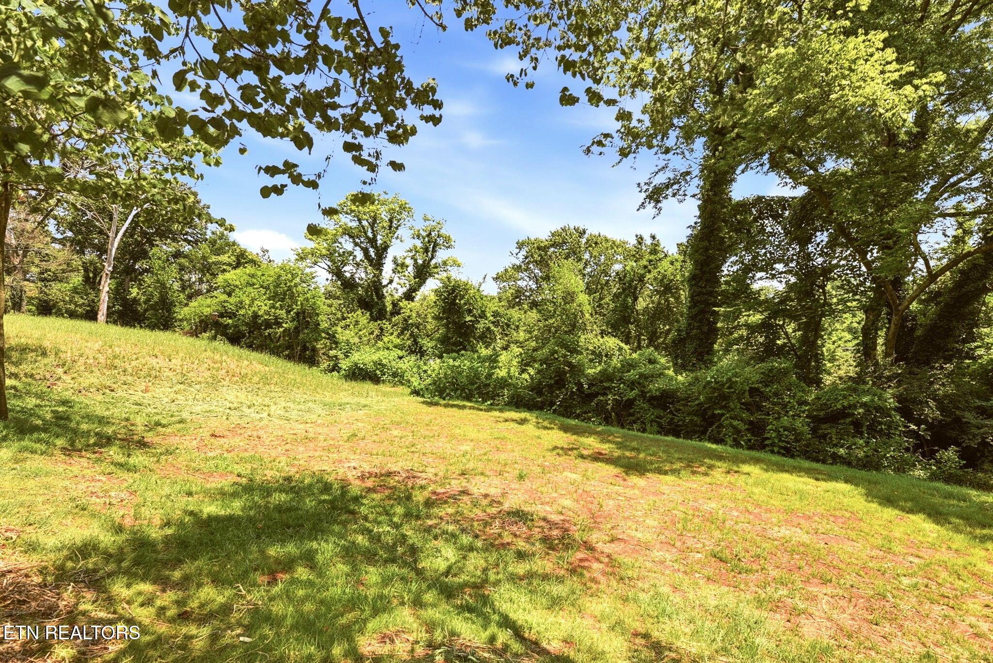 Fort Loudoun and Tellico Lake Real Estate - Image# 45