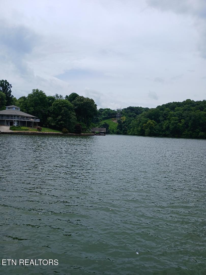 Fort Loudoun and Tellico Lake Real Estate - Image# 11