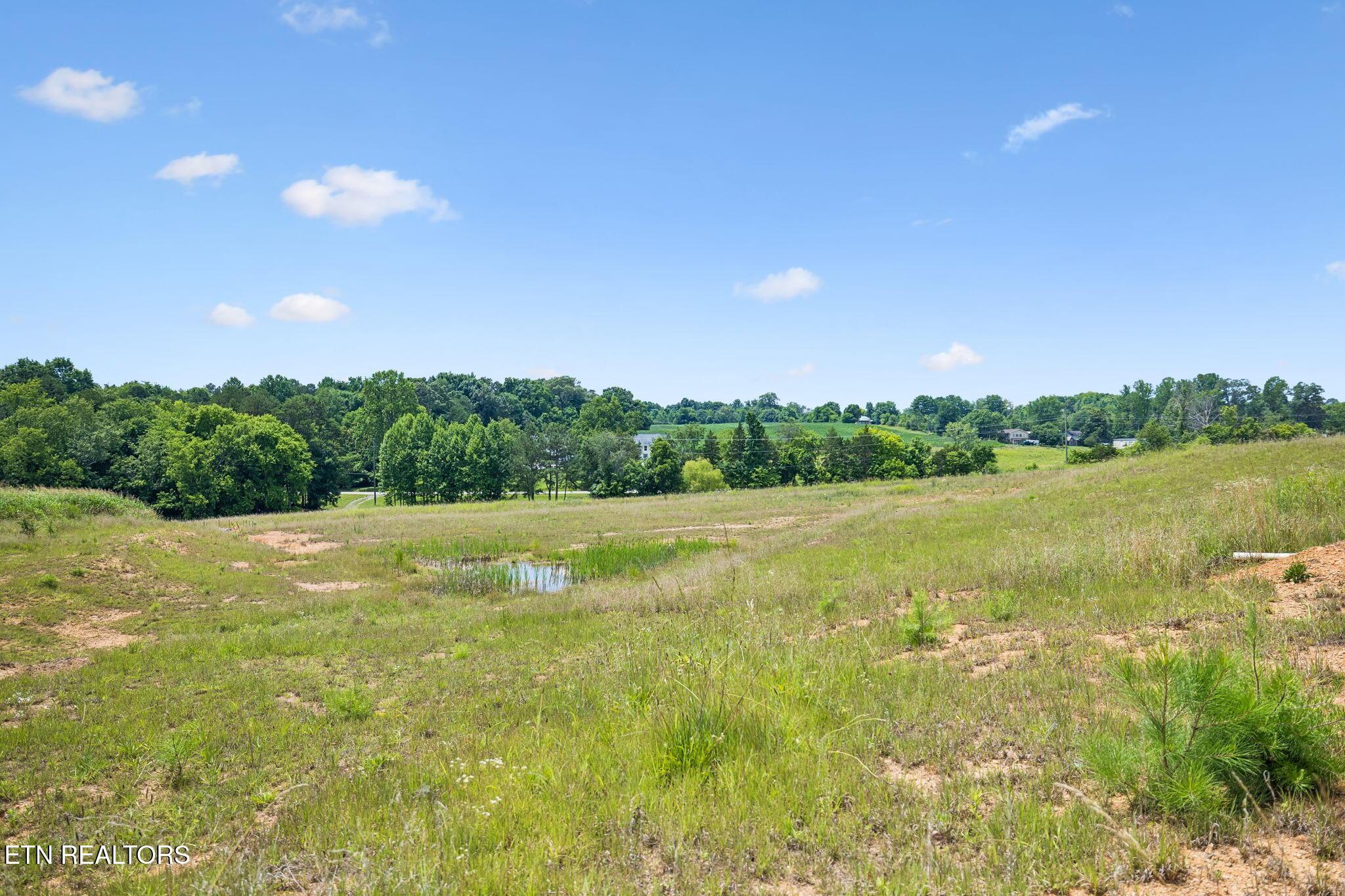 Fort Loudoun and Tellico Lake Real Estate - Image# 14