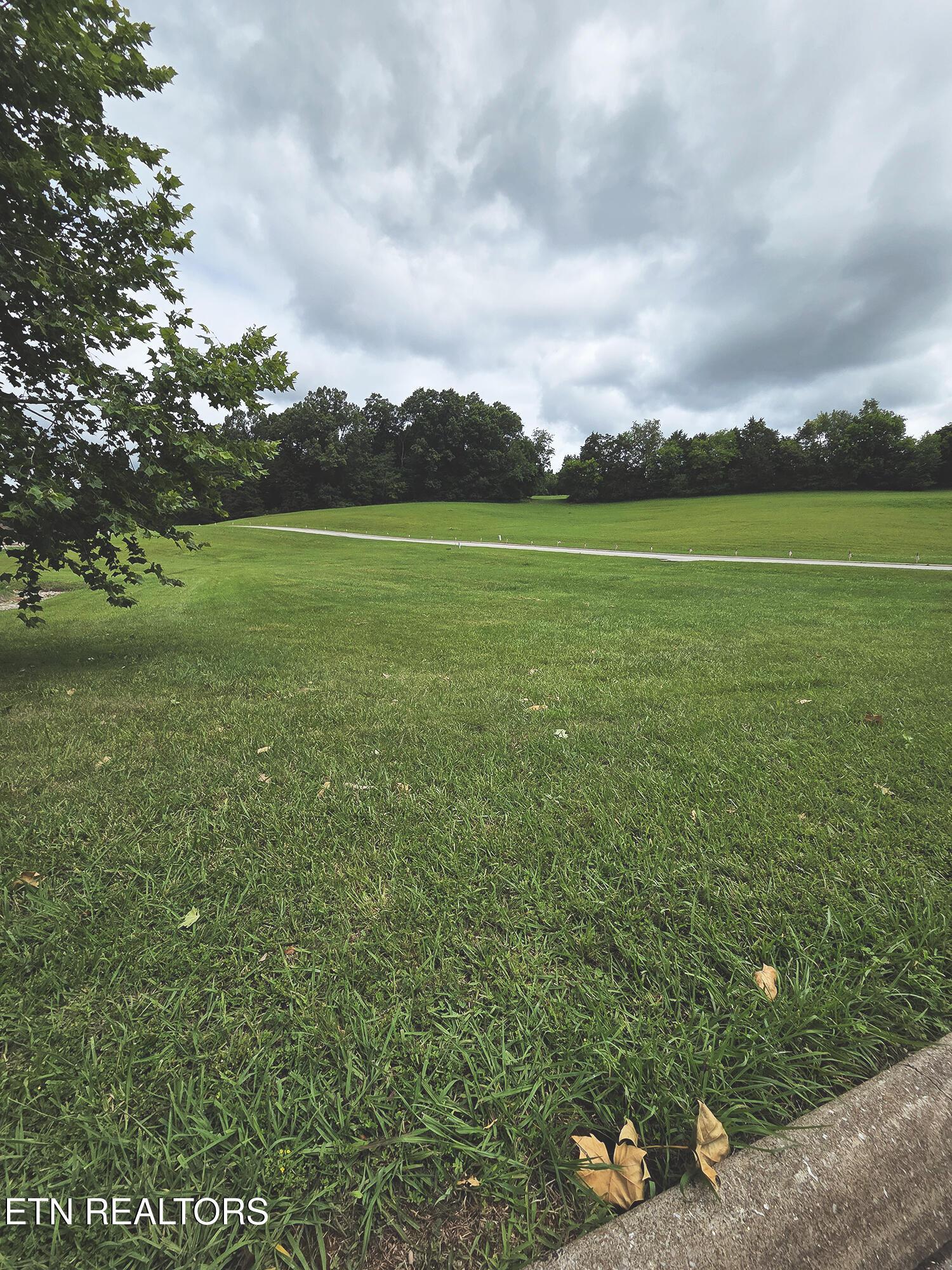 600 Wood Duck Drive, Vonore, TN - Fort Loudoun and Tellico Lake Real Estate - Image# 6
