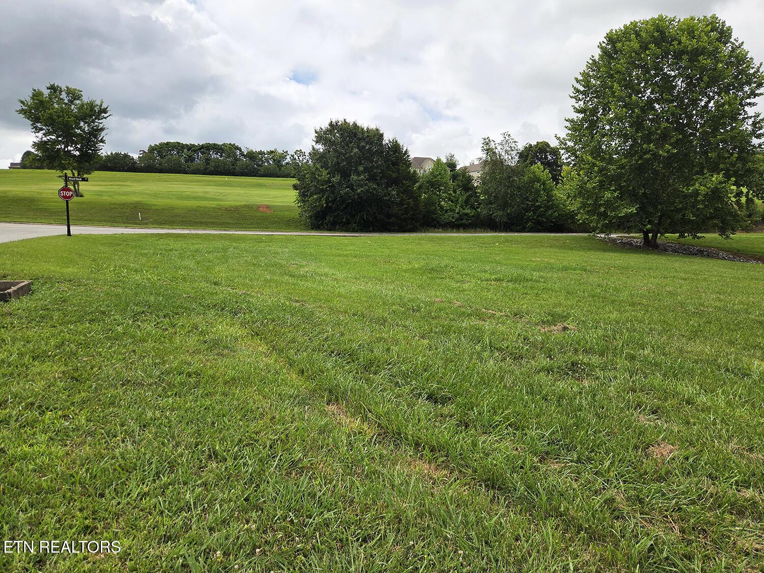 600 Wood Duck Drive, Vonore, TN - Fort Loudoun and Tellico Lake Real Estate - Image# 11