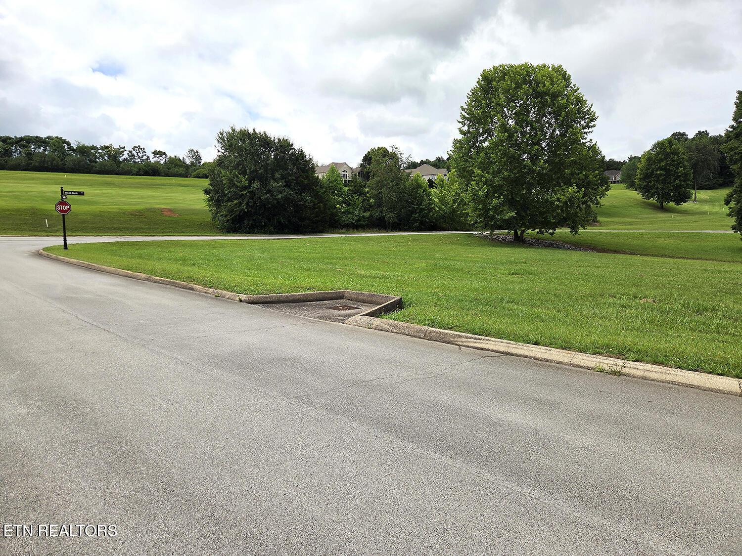 600 Wood Duck Drive, Vonore, TN - Fort Loudoun and Tellico Lake Real Estate - Image# 4