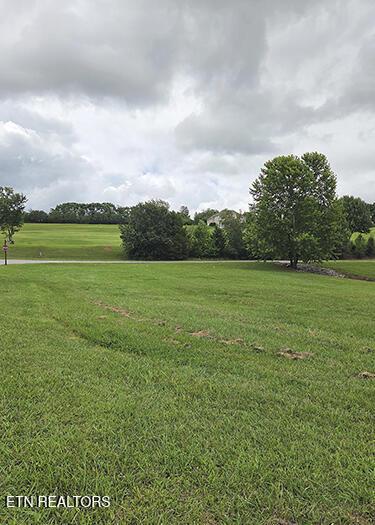 600 Wood Duck Drive, Vonore, TN - Fort Loudoun and Tellico Lake Real Estate - Image# 12
