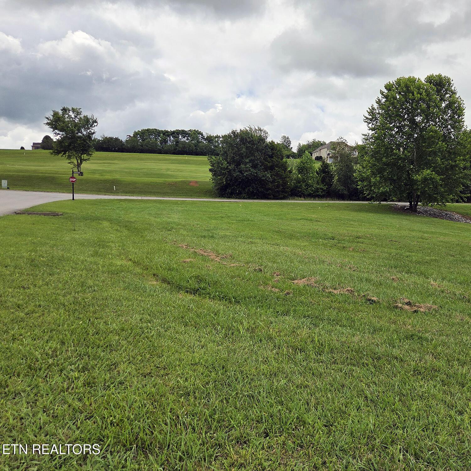 600 Wood Duck Drive, Vonore, TN - Fort Loudoun and Tellico Lake Real Estate - Image# 13