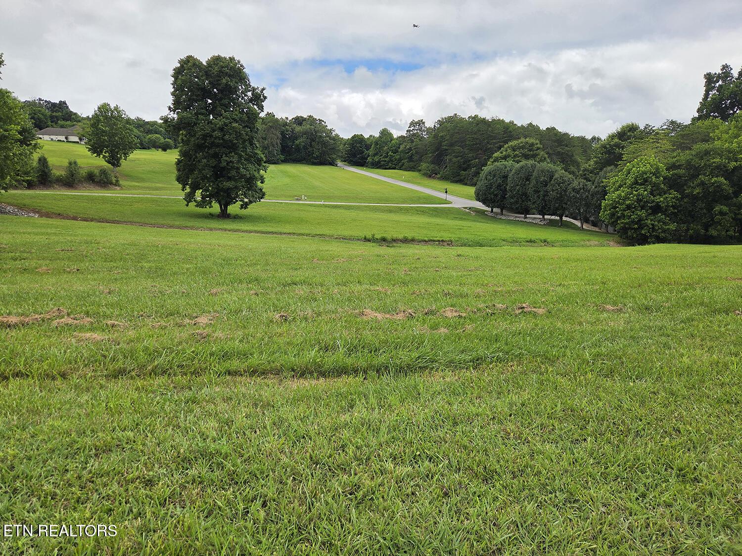 600 Wood Duck Drive, Vonore, TN - Fort Loudoun and Tellico Lake Real Estate - Image# 2