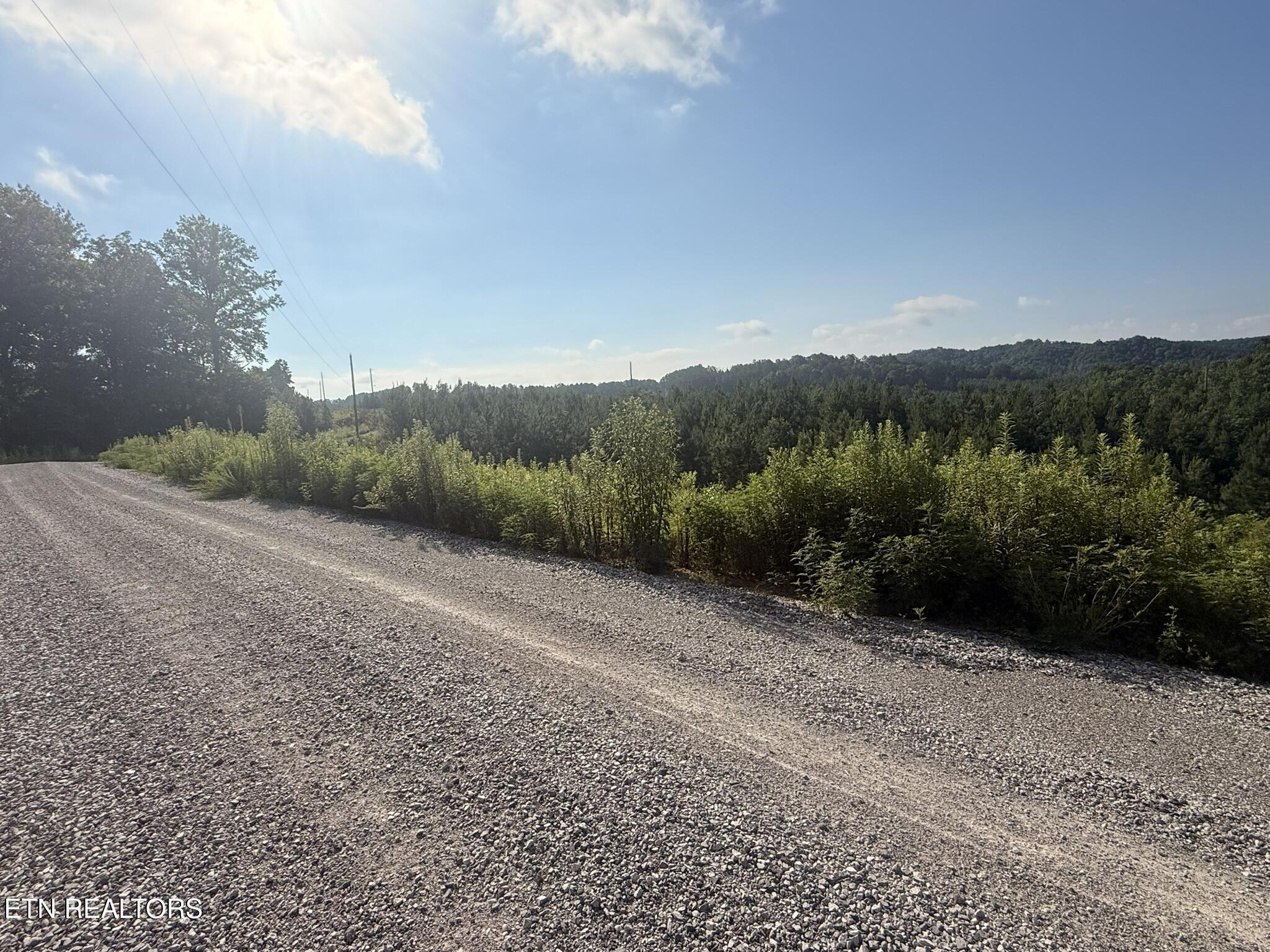 Lot 86 Ridgeline Drive, Vonore, TN - Fort Loudoun and Tellico Lake Real Estate - Image# 8