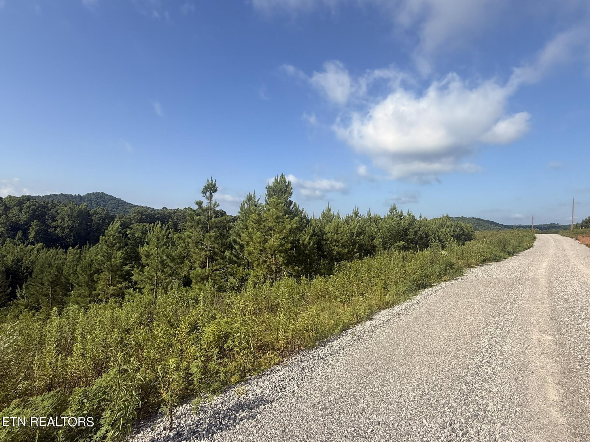 Lot 86 Ridgeline Drive, Vonore, TN - Fort Loudoun and Tellico Lake Real Estate - Image# 9