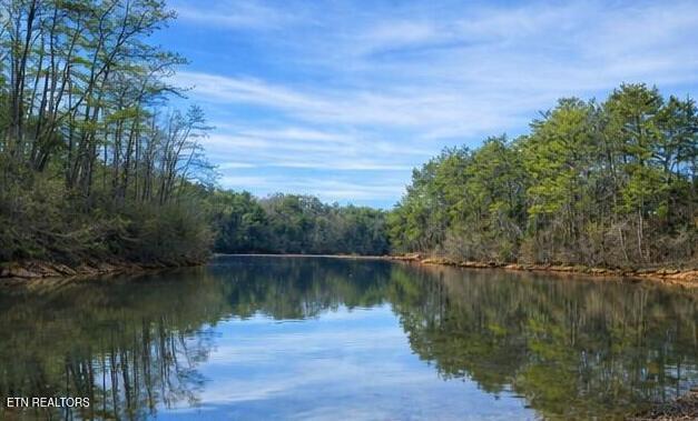 Lot 86 Ridgeline Drive, Vonore, TN - Fort Loudoun and Tellico Lake Real Estate - Image# 10
