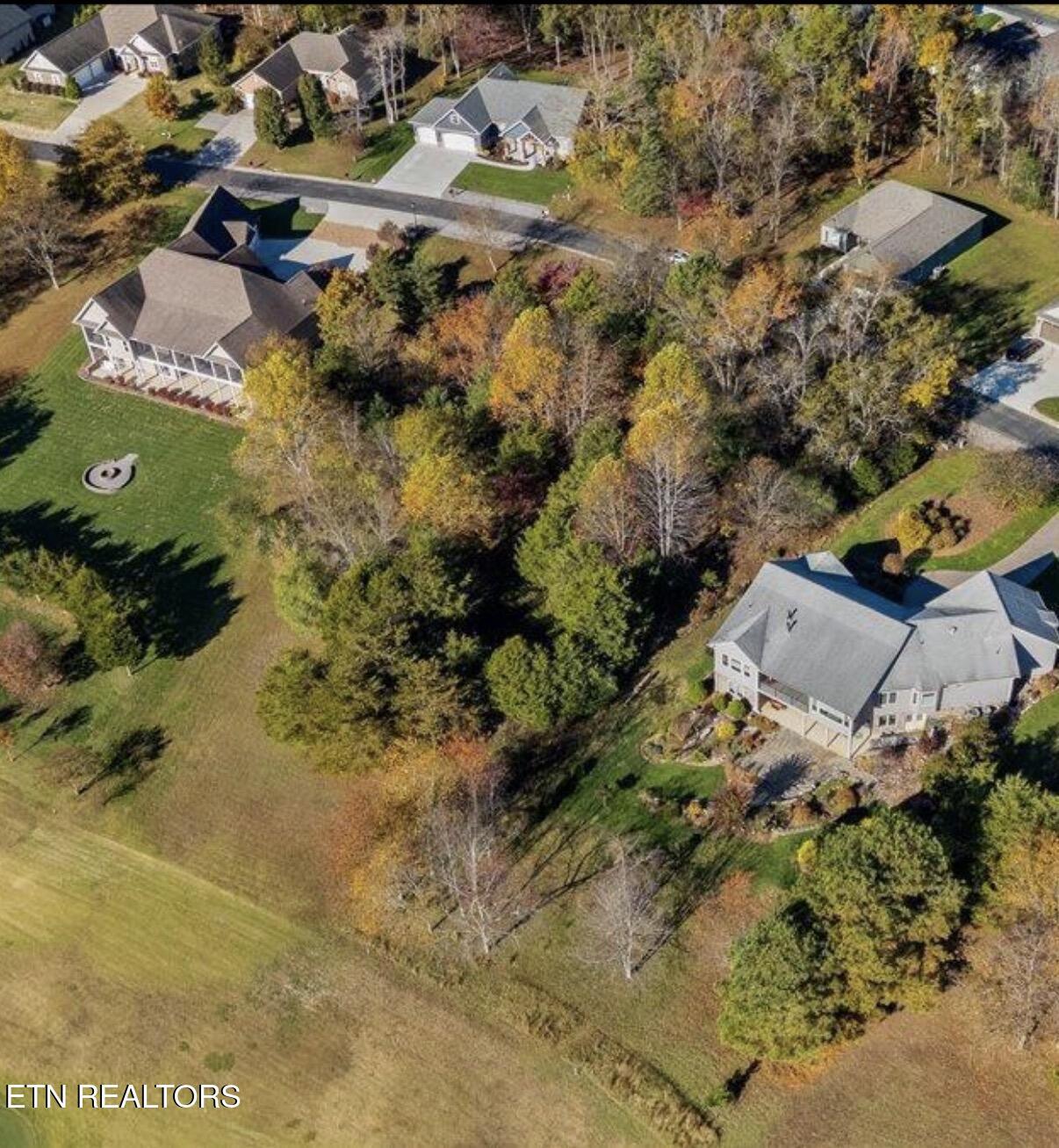 176 Dudi Tr, Vonore, TN - Fort Loudoun and Tellico Lake Real Estate - Image# 2